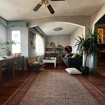 Cost Flat In Taksim With View *
