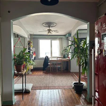Cost Flat In Taksim With View